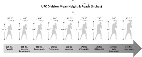 Ufc Weight Class Chart