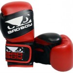 bad boy youth gloves