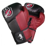 hayabusa tokushu boxing gloves