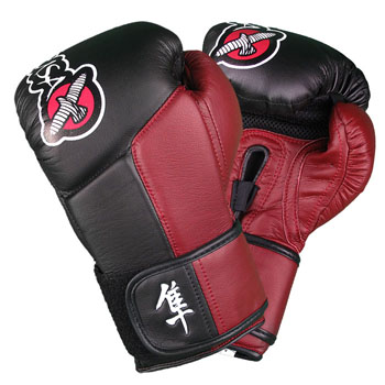 hayabusa tokushu boxing gloves