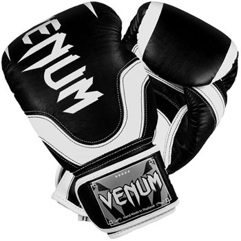 venum absolute boxing gloves