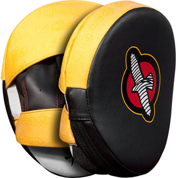 Hayabusa Pro focus Mitts